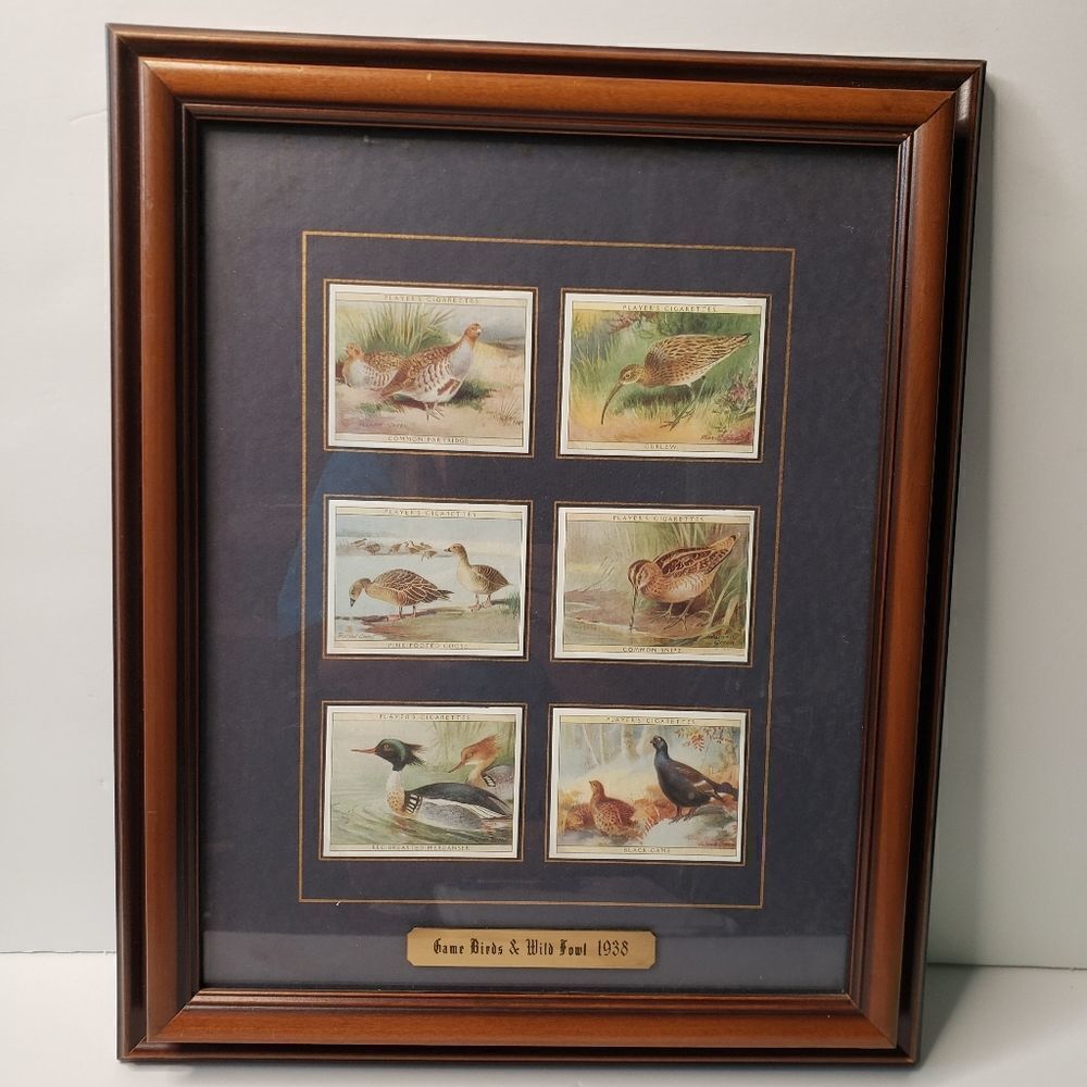Players Cigarette Cards Game Birds & Water Fowl